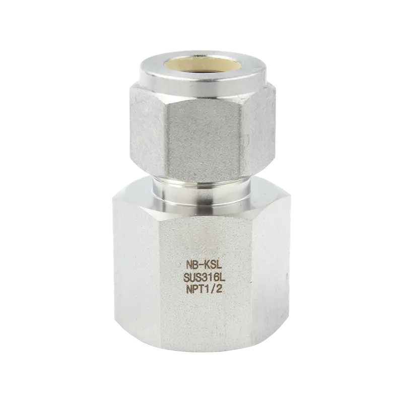 Connettore con filettatura interna per raccordo a compressione in acciaio inossidabile 316L